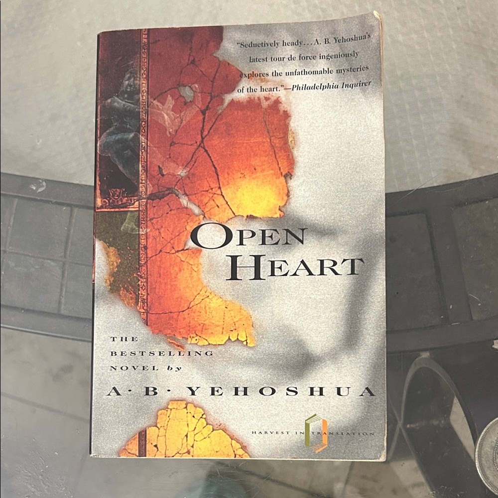Open Heart by A.B. Yehoshua Book